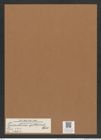 Triceratium epithelilae Witt. (de-Toni-Nr.: Genus 140, Species 3994) Zeichnungen Sammlung Grunow Mappe 03989 (Herbarium_W_Grunow_drawings_Folder_03989)
